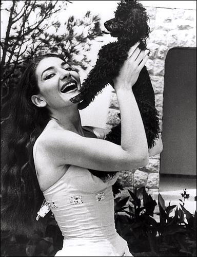 Maria Callas mit "Toy"